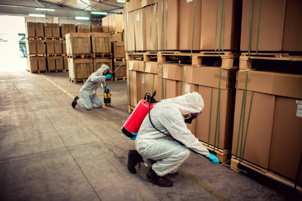 Best Wildlife Control Services  in White Pigeon, MI