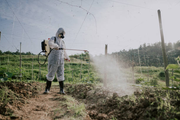 Best Ant Control Services  in White Pigeon, MI
