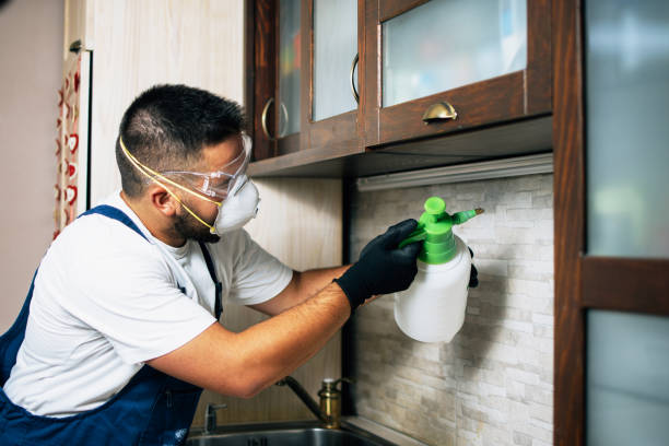 Best Pest Removal Services  in White Pigeon, MI