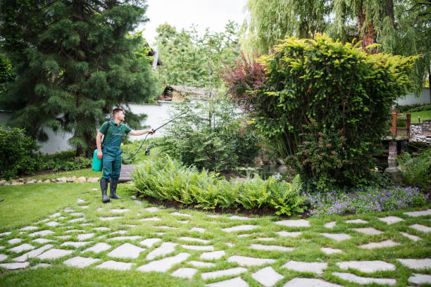 Best Pest Inspection Near Me  in White Pigeon, MI