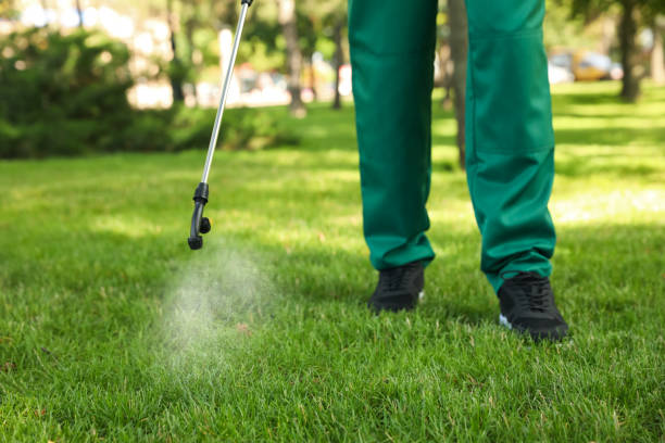 Best Cockroach Control Services  in White Pigeon, MI
