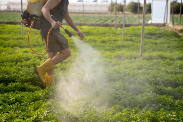 Best Exterminator Services  in White Pigeon, MI