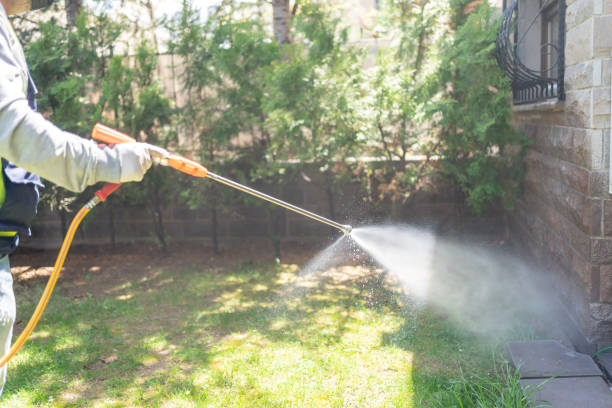Best Pest Removal Services  in White Pigeon, MI