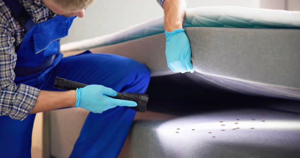 Best Pest Inspection Near Me  in White Pigeon, MI