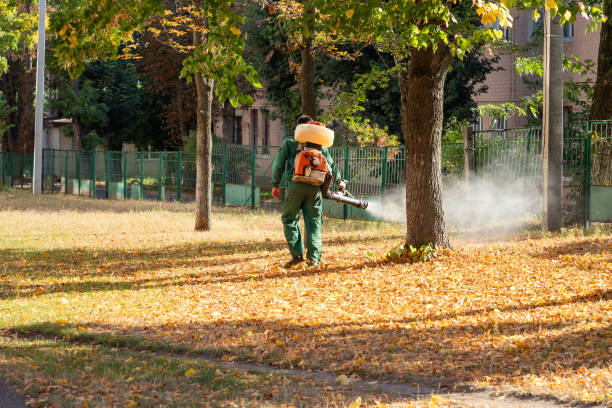 Best Commercial Pest Control Services  in White Pigeon, MI