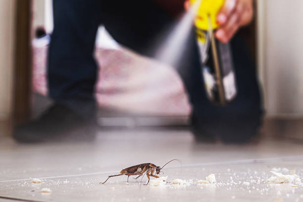 Best Residential Pest Control  in White Pigeon, MI