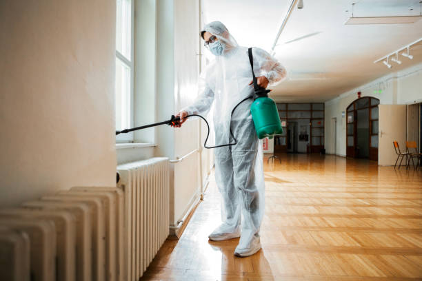 Best Insect Control  in White Pigeon, MI