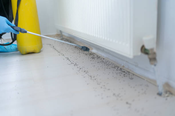 Wildlife Control Services in White Pigeon, MI