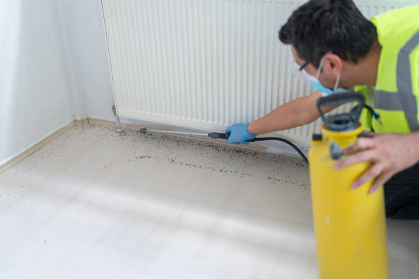 Best Best Pest Control Companies  in White Pigeon, MI